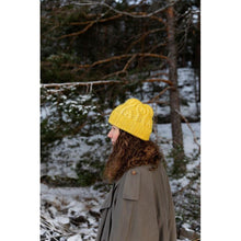 Load image into Gallery viewer, 52 Weeks of Accessories by Laine Pre Order