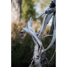 Load image into Gallery viewer, Laine Nordic Knits Pre Order