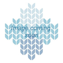 Load image into Gallery viewer, Zealana Heron Worsted H16 Natural