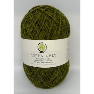 Aspen Polwarth 4ply Willow 