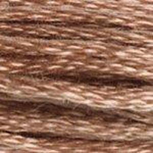 DMC Six Strand Embroidery Floss - Browns 3064 Cinnamon Brown