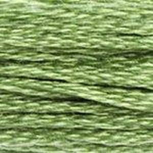 DMC Six Strand Embroidery Floss - Greens 989 Fennel Green