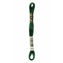 Load image into Gallery viewer, DMC Six Strand Embroidery Floss - Greens 
