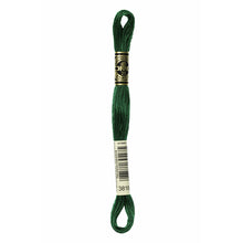 Load image into Gallery viewer, DMC Six Strand Embroidery Floss - Greens