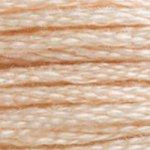 DMC Six Strand Embroidery Floss - Lights 3774 Pale Desert Sand