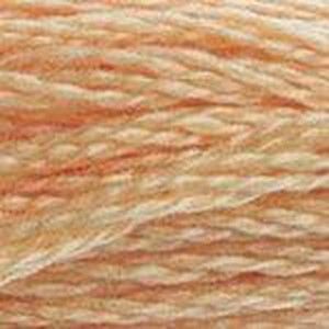 DMC Six Strand Embroidery Floss - Oranges 3856 Pale Beechwood