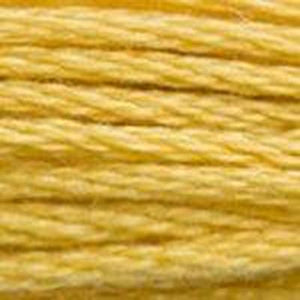 DMC Six Strand Embroidery Floss - Yellows 3821 Straw Yellow