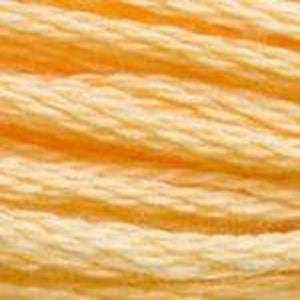 DMC Six Strand Embroidery Floss - Yellows 3855 Autumn Gold