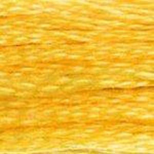 DMC Six Strand Embroidery Floss - Yellows 725 Sunlight Yellow