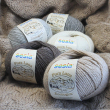 Load image into Gallery viewer, Lana Ecologica 10Ply