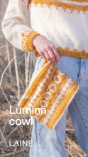 Load image into Gallery viewer, Shine: Knitting with Beads by Pope Vergara
