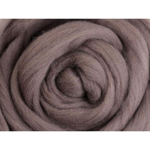 Load image into Gallery viewer, Ashford Corriedale Sliver Colour Packs 100g 066 Truffle
