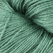 Load image into Gallery viewer, BC Garn Jaipur Silk Fino 2ply Lace Eucalyptus (65) 
