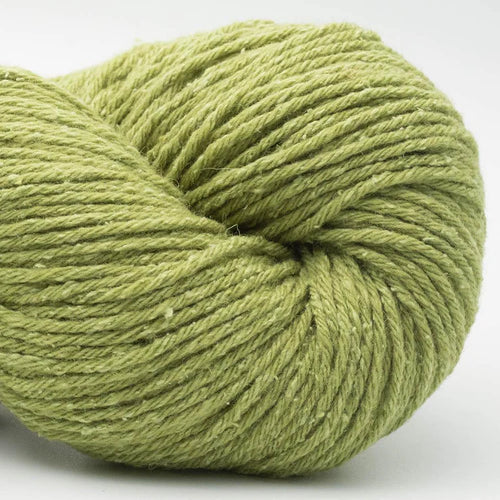 BC Garn Northern Lights GOTS 14 Pistachio 