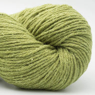 BC Garn Northern Lights GOTS 14 Pistachio 