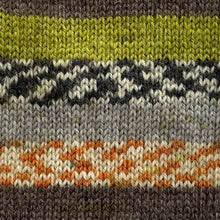 Load image into Gallery viewer, Crucci Prints Sock Wool 4ply 16 
