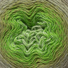 Load image into Gallery viewer, Eddy Gradient Jardin (9111) 
