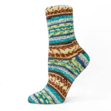 Load image into Gallery viewer, Jester Sock Yarn Brown Aqua 
