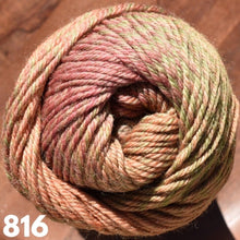 Load image into Gallery viewer, Mandala 8Ply Autumn tones 816) 
