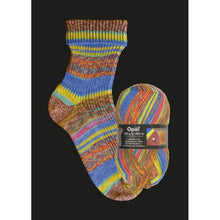 Load image into Gallery viewer, Opal Sock Yarn 100g 2100 
