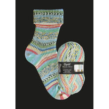 Load image into Gallery viewer, Opal Sock Yarn 100g 2101 
