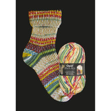 Load image into Gallery viewer, Opal Sock Yarn 100g 2104 
