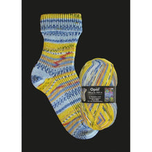 Load image into Gallery viewer, Opal Sock Yarn 100g 2105 
