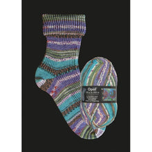 Load image into Gallery viewer, Opal Sock Yarn 100g 2106 
