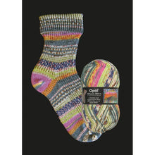 Load image into Gallery viewer, Opal Sock Yarn 100g 2107 
