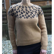 Roar! Sweater Pattern