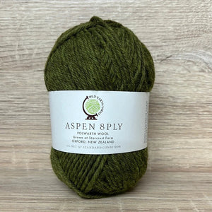 Aspen Polwarth 8ply Willow 