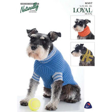 Load image into Gallery viewer, DK Patterns for Dogs N1417 Striped Sweater, Cowl &amp; Tippett Scarf 
