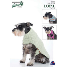 Load image into Gallery viewer, DK Patterns for Dogs N1418 Textured Sweater, Scarf and Bandana 
