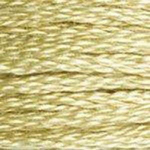 DMC Six Strand Embroidery Floss - Browns 3046 Rye Beige