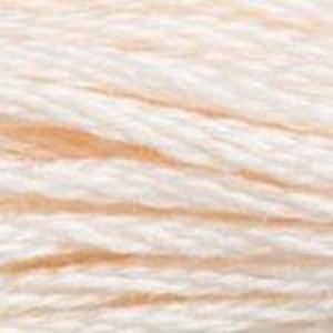 DMC Six Strand Embroidery Floss - Browns 3770 Pale Eggshell Cream