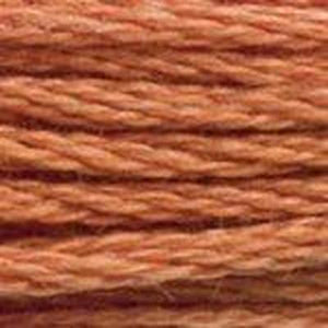 DMC Six Strand Embroidery Floss - Browns 3776 Dark Nutmeg Brown