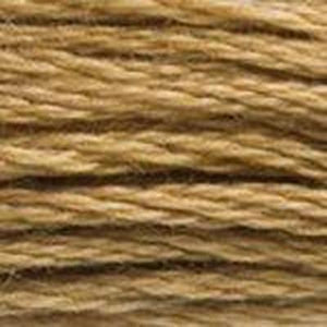 DMC Six Strand Embroidery Floss - Browns 3828 Oaktree Brown