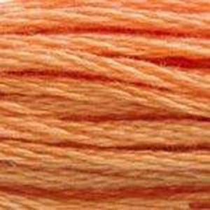 DMC Six Strand Embroidery Floss - Browns 402 Pottery Brown