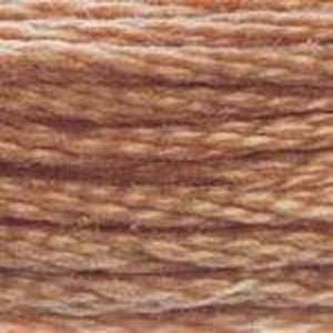 DMC Six Strand Embroidery Floss - Browns 407 Clay Brown