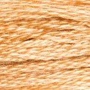 DMC Six Strand Embroidery Floss - Browns 437 Camel