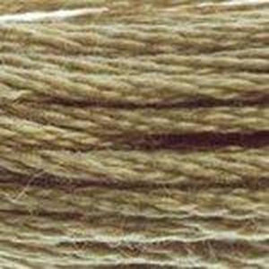 DMC Six Strand Embroidery Floss - Browns 612 String Brown