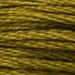 DMC Six Strand Embroidery Floss - Browns 831 Green Bronze