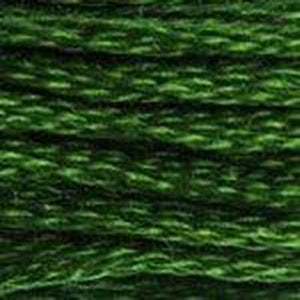 DMC Six Strand Embroidery Floss - Greens 986 Dark Forest Green
