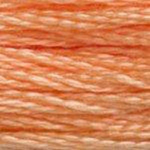 DMC Six Strand Embroidery Floss - Oranges 3825 Mango Orange