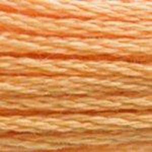DMC Six Strand Embroidery Floss - Oranges 3854 Spicy Gold