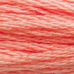 DMC Six Strand Embroidery Floss - Pinks 3341 Peach