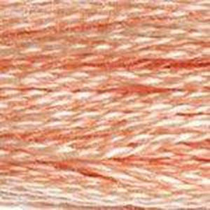DMC Six Strand Embroidery Floss - Pinks 754 Beige Rose
