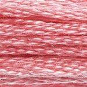 DMC Six Strand Embroidery Floss - Pinks 899 Medium Rose
