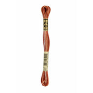 DMC Six Strand Embroidery Floss - Variegated 