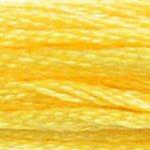 DMC Six Strand Embroidery Floss - Yellows 726 Mimosa Yellow